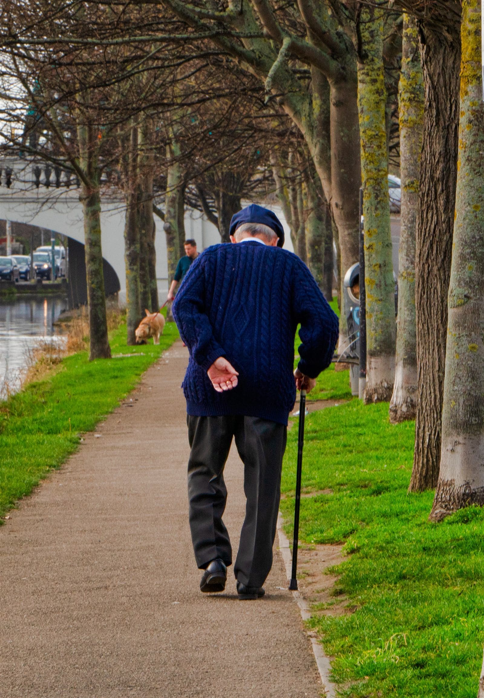COVID-19 and the Elderly: Understanding the Risk Factors