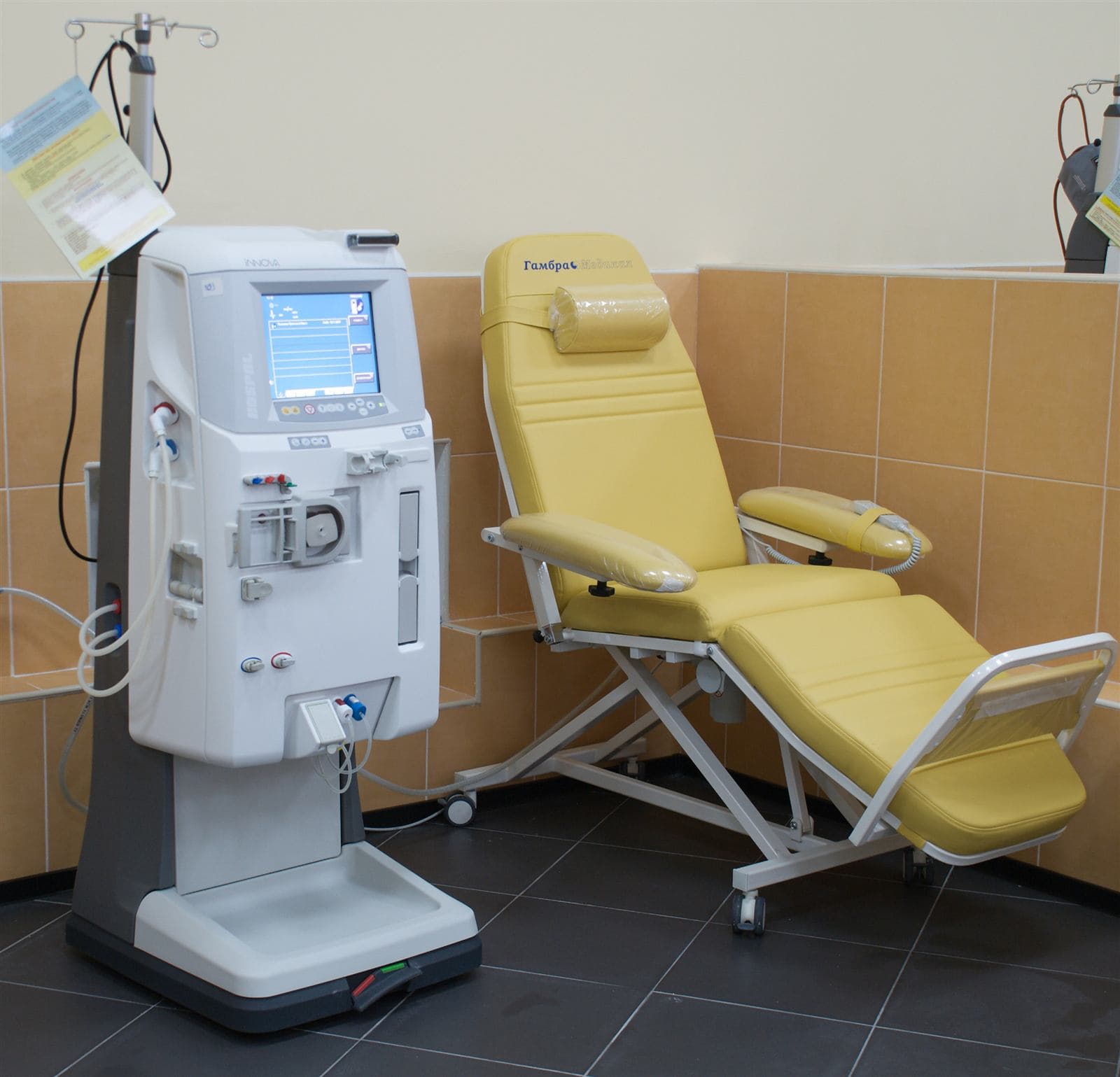 Does COVID-19 Affect Your Kidneys? Dialysis and CKD Risk