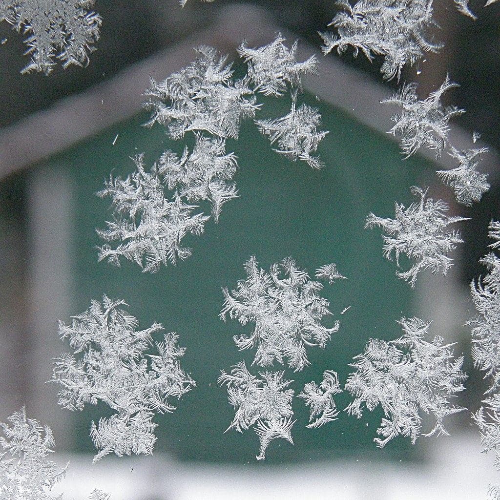 Why COVID-19 Spreads More in Winter